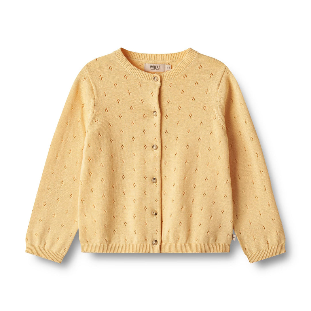 [Weizen] Strickjacke Maia - Blasses Aprikosengrün