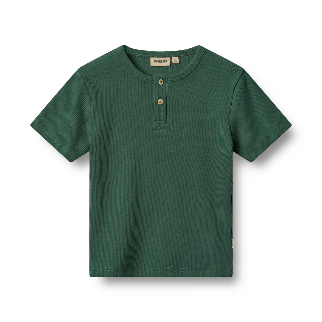 [Wheat] T-Shirt S/S Lumi - Green