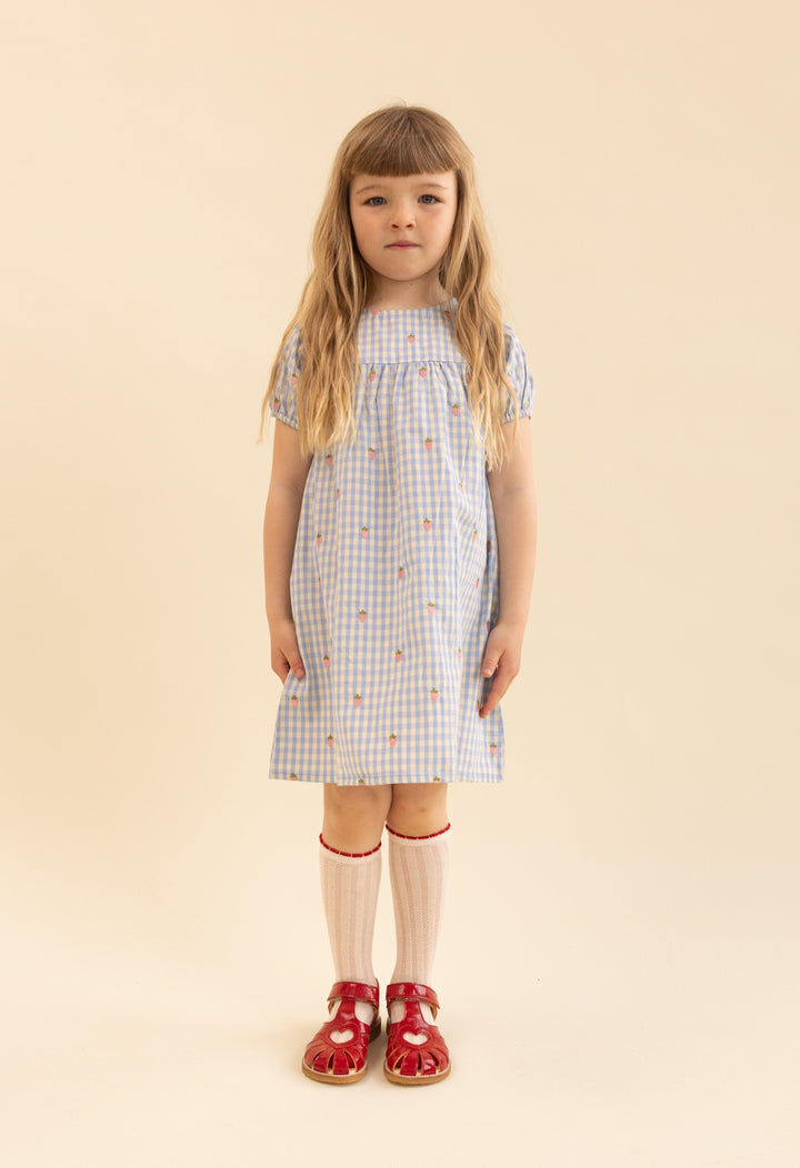 [Floss] Mille SS Dress - Sky Berry Gingham