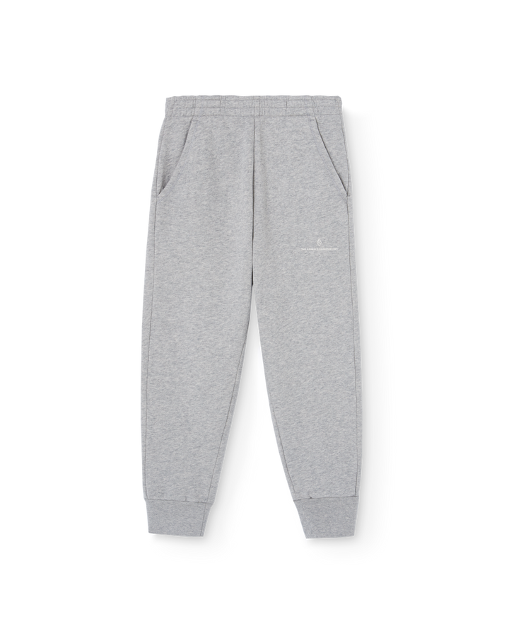 [TAO] Draco Kid Sweatpants - Medium Grey Heather