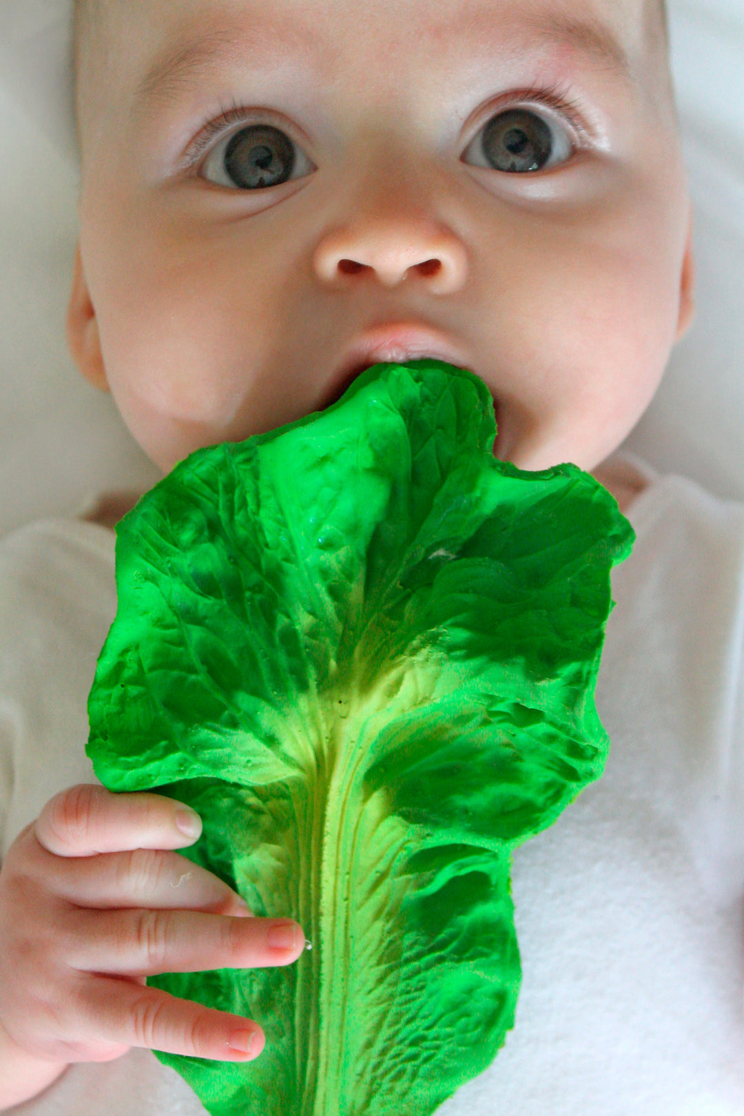 [Oli&Carol] Kendall The Kale  Baby Teether