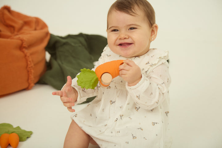 [Oli&Carol]Cathy The Carrot Baby Car