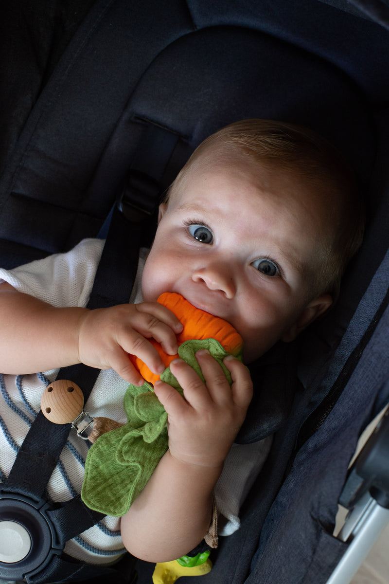 [Oli&Carol] Cathy The Carrot Mini Doudou - Teether