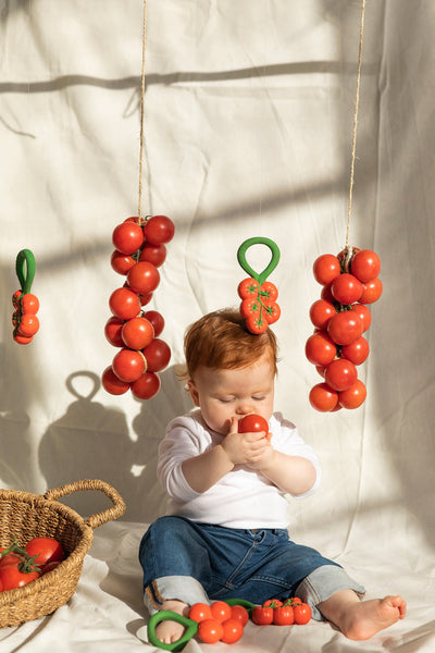 [Oli&Carol] Tomato Rattle Toy