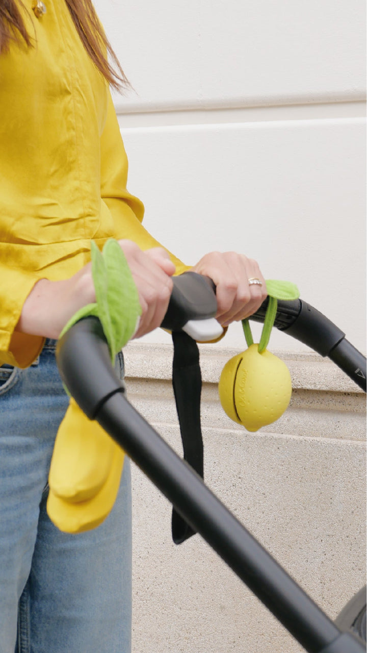 [Oli&Carol]Pacifier Case Lemon