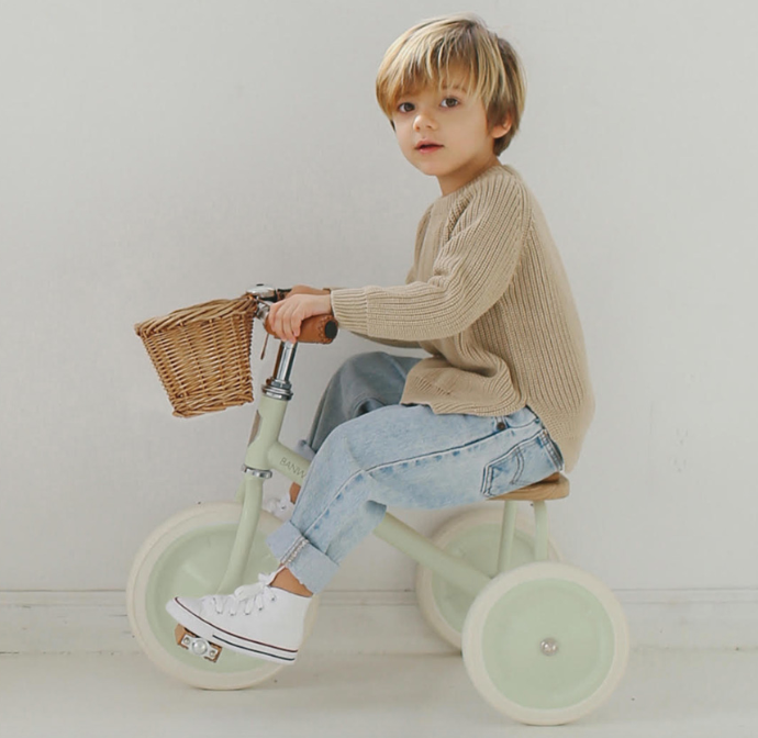 Banwood Trike Pale Mint